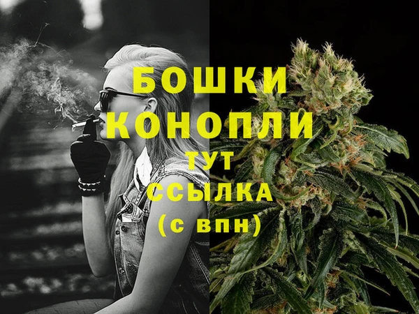 первитин Заводоуковск