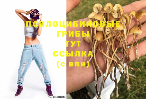 мдпв Заволжск