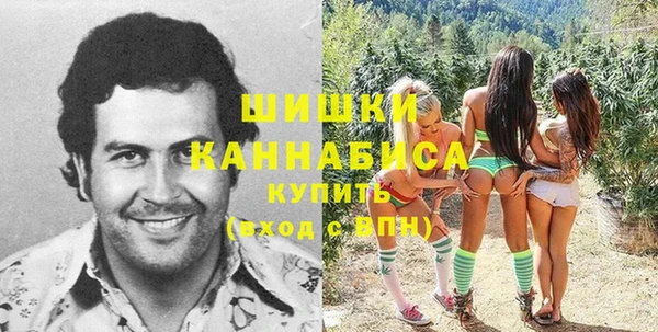 первитин Заводоуковск