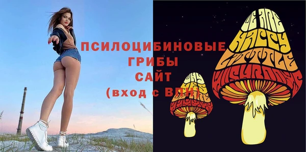 мдпв Заволжск