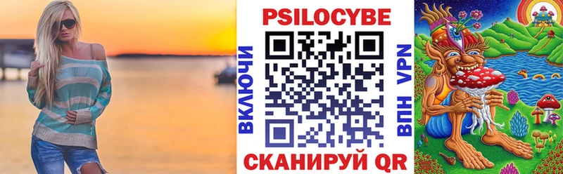 Псилоцибиновые грибы Psilocybine cubensis  Купить где  Камызяк 